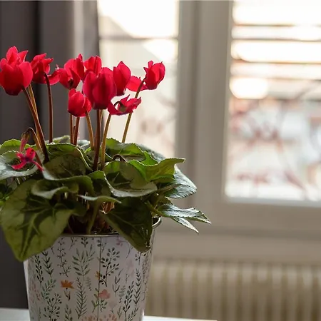 Ogcity Lecourbe ホテル パリ